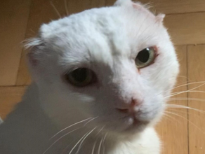 Das Künstlerinnenduo Peles Empire (Barbara Wolff und Katharina Stöver) erhält das erste Peter Jacobi Stipendium. Foto: Christoph Mack